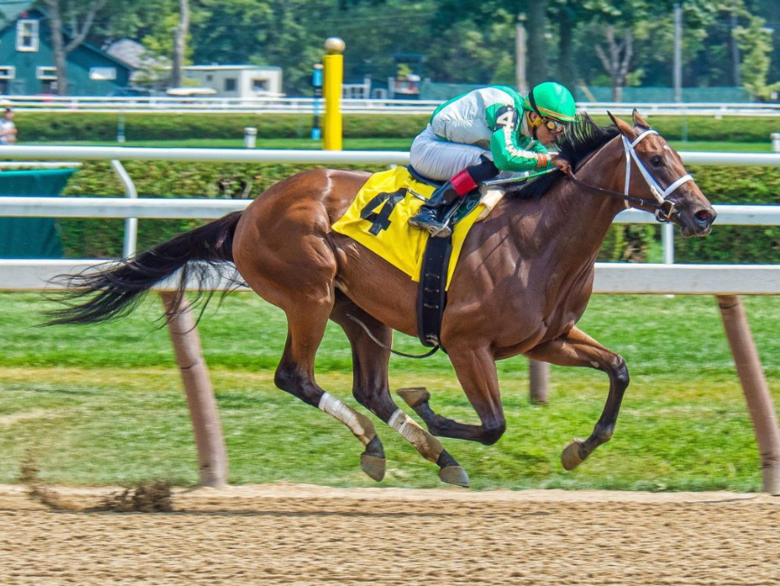 Tips To Find Race Horse Sales For Owning A Racehorse